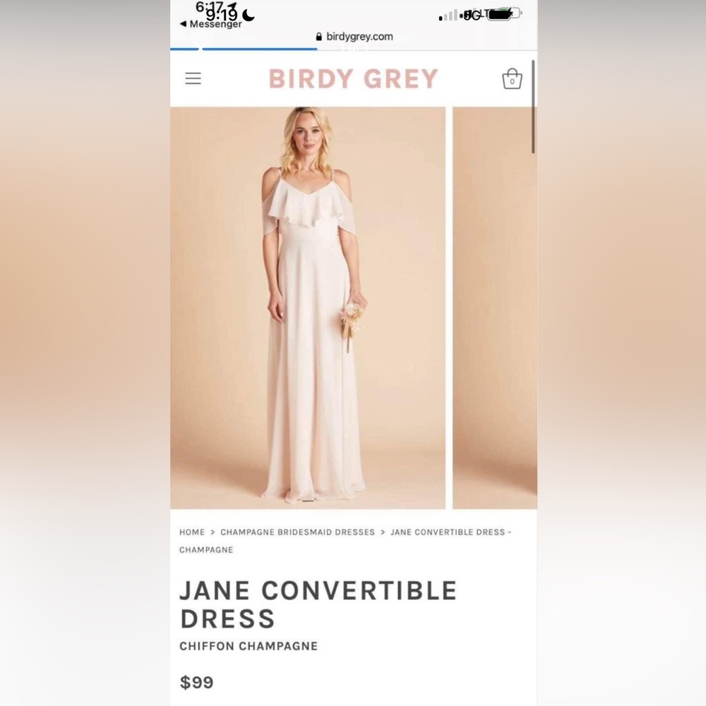 Birdy grey- convertible Jane dress